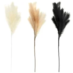 B&M Pampas Stem - Natural -Chic Home Decor Store 372800 395541 394382 pamas stem group
