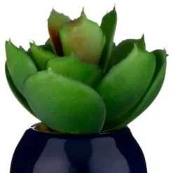 B&M Small Succulent 12 B&M Small Succulent -Chic Home Decor Store 380107 small succulent 6