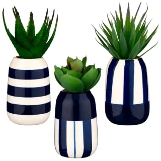 B&M Small Succulent 1 B&M Small Succulent