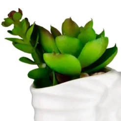 B&M Scandi Shore Small Shell Succulent 14 B&M Scandi Shore Small Shell Succulent -Chic Home Decor Store 380110 small shell succulent 2