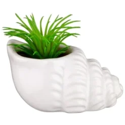 B&M Scandi Shore Small Shell Succulent 10 B&M Scandi Shore Small Shell Succulent -Chic Home Decor Store 380110 small shell succulent 4