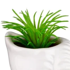 B&M Scandi Shore Small Shell Succulent 16 B&M Scandi Shore Small Shell Succulent -Chic Home Decor Store 380110 small shell succulent 5