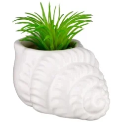 B&M Scandi Shore Small Shell Succulent 13 B&M Scandi Shore Small Shell Succulent -Chic Home Decor Store 380110 small shell succulent 6