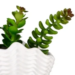 B&M Scandi Shore Small Shell Succulent 17 B&M Scandi Shore Small Shell Succulent -Chic Home Decor Store 380110 small shell succulent 8