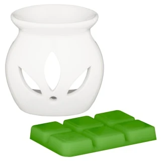 B&M Oil Burner & Wax Melt Set - Watermelon 2 B&M Oil Burner & Wax Melt Set - Watermelon - Image 2