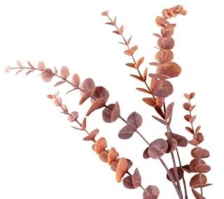 B&M Eucalyptus In Vase 2 B&M Eucalyptus In Vase - Image 2