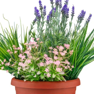 Bloom Flowers In Large Planter - Light Pink 2 Bloom Flowers In Large Planter - Light Pink - Image 2