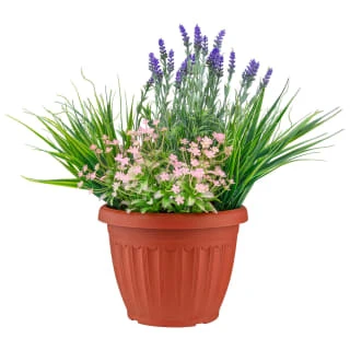 Bloom Flowers In Large Planter - Light Pink 1 Bloom Flowers In Large Planter - Light Pink