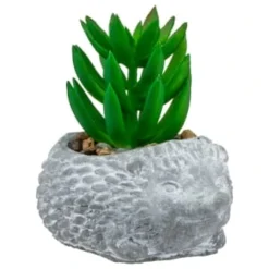 Bloom Mini Animal Succulent - Hedgehog