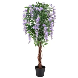 Bloom Wysteria Tree In Pot - Purple 1 Bloom Wysteria Tree In Pot - Purple
