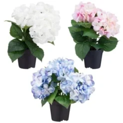 Bloom Hydrangea In Pot - Pink -Chic Home Decor Store 392961 hydrangea in pot group1
