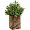 B&M Foliage In Seagrass Pot