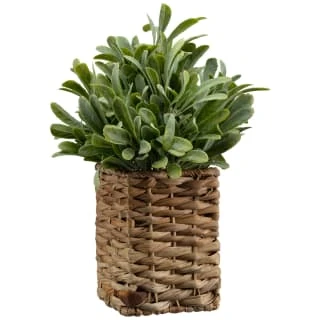 B&M Foliage In Seagrass Pot 1 B&M Foliage In Seagrass Pot