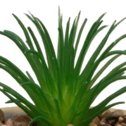 B&M Small Succulent Pot - Stone 4 B&M Small Succulent Pot - Stone -Chic Home Decor Store 394663 small succulent stone 2