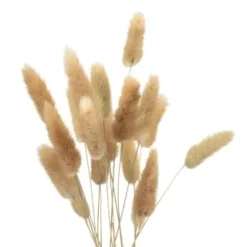 B&M Bunny Tails In Double Handled Vase -Chic Home Decor Store 394705 bunny tails in handled vase 2