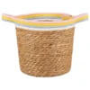 B&M Rainbow Handle Basket